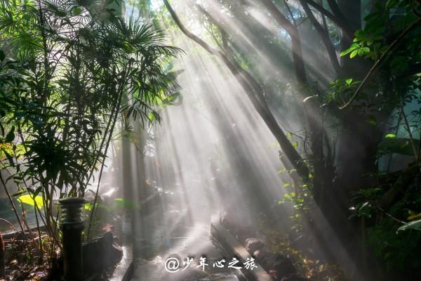 探索现在男人胖的要命?的知识星球平台 | 了解一站式信息分享与交流平台